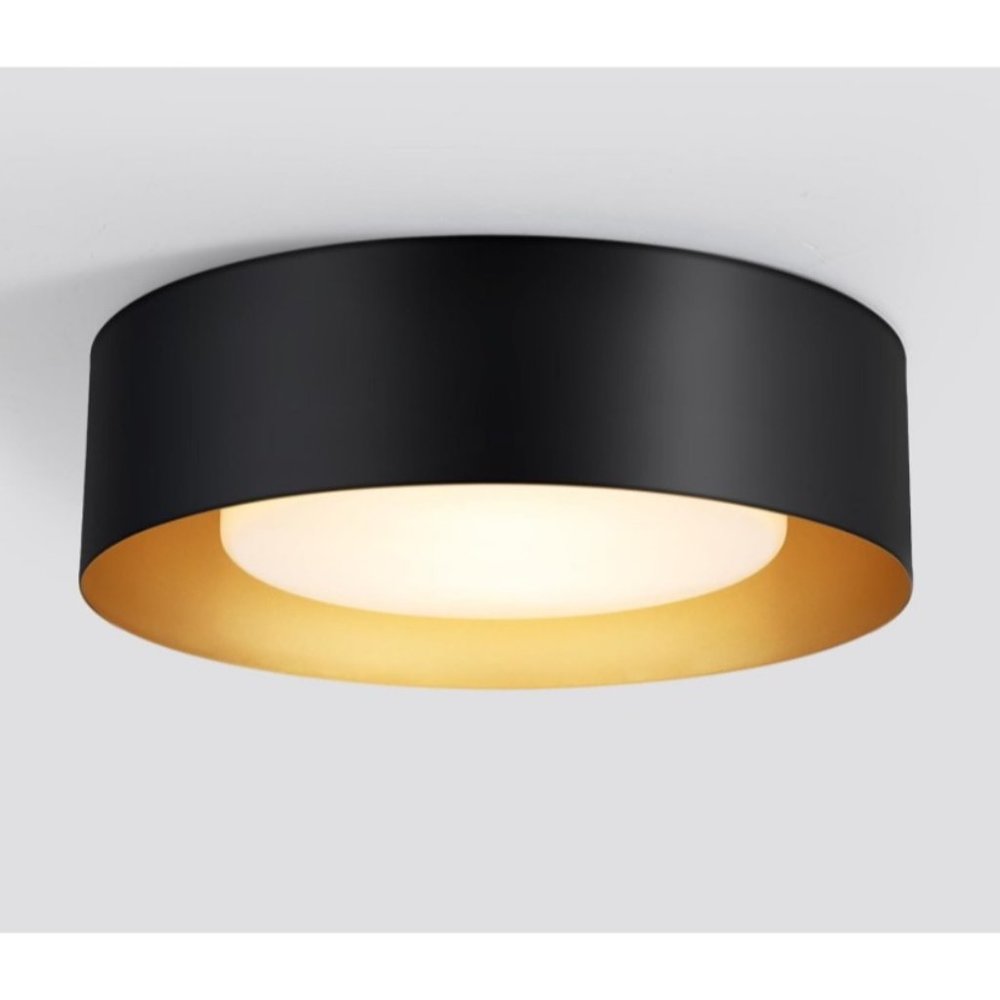 Modern Flush Mount Ceiling Light, 2-Light Black Round Close to Ceiling Light Fix